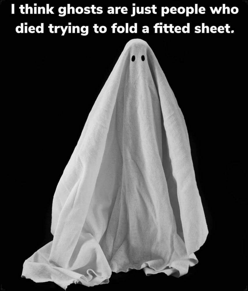 RubyStephens33's tweet photo. 😂👻🤣 https://t.co/2hQSzhnu8E