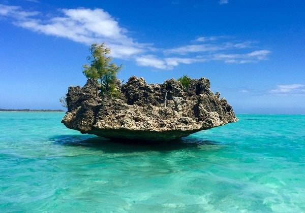 Tuesday in Mauritius be like 
#tuesdayvibe
