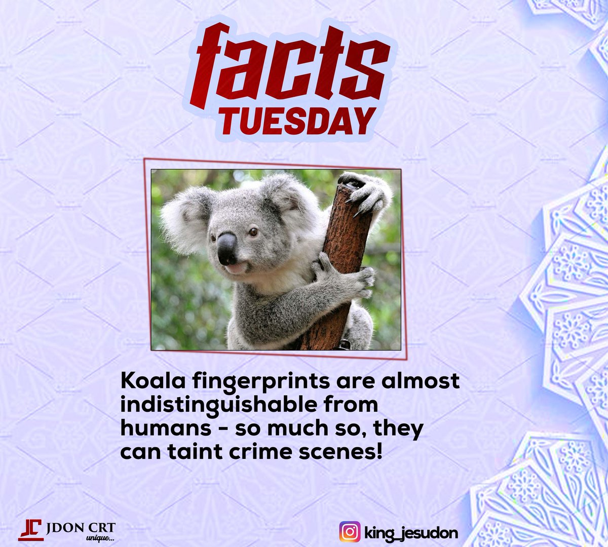King_Jesudon's tweet photo. #FactsTuesday
#JDONCRT https://t.co/WSzkiCtD55