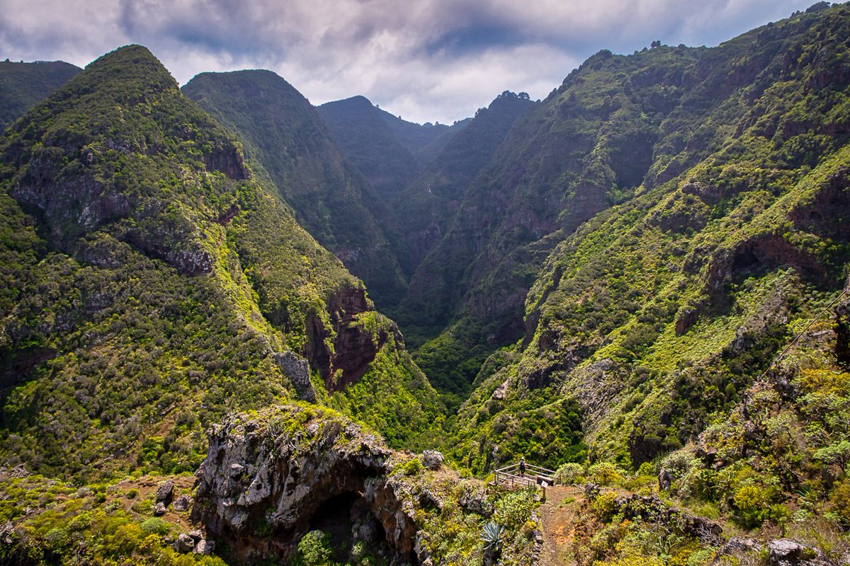 Martes...
-Barranco de Los Hombres,Villa de Garafía-
#LaPalma #barrancos #mauro_fotos
