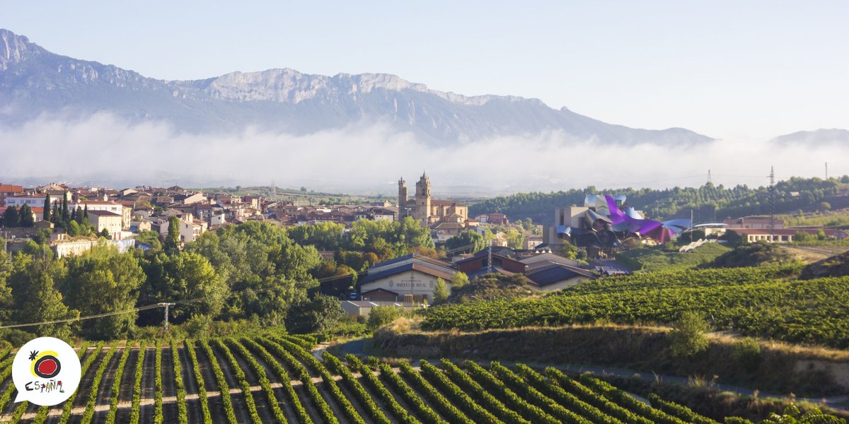 SpainInIndia's tweet photo. #FlavoursOfSpain, La Rioja!🍷
Spanish spirits are ‘wining’ because they want you to experience the magnificent wineries of La Rioja! 😉
#VisitSpain #SpainGastronomy @lariojaturismo https://t.co/YJM8AFn66f