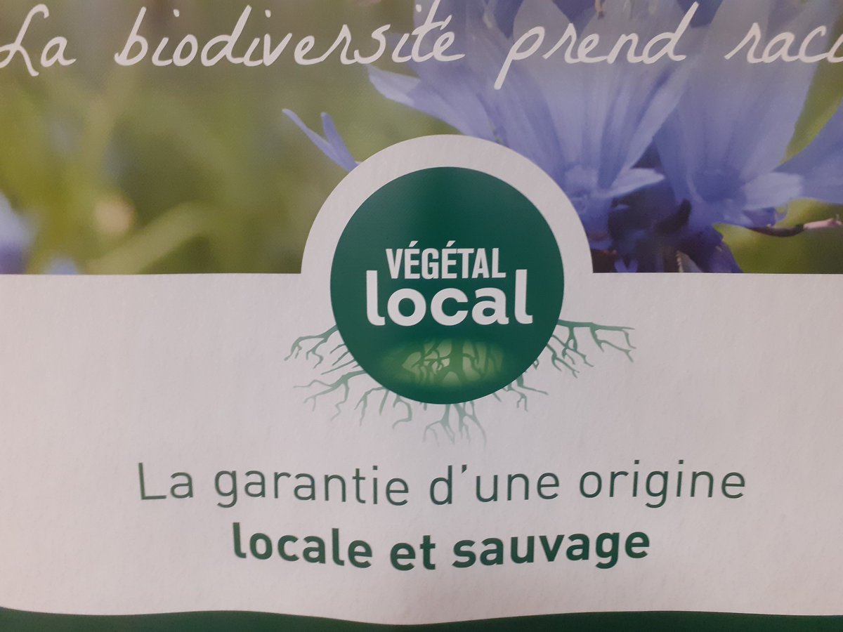 ResoBiodiv's tweet photo. Aujourd'hui, journée technique et scientifique autour du végétal local : un levier pour accompagner les transitions et l'agroécologie dans l'enseignement agricole. @afacagrofo @VEGEPOLYSVALLEY @astredhor @planteetcite @RESO_THEM @HPaysage @OFBiodiversite https://t.co/kBvAoSocXE