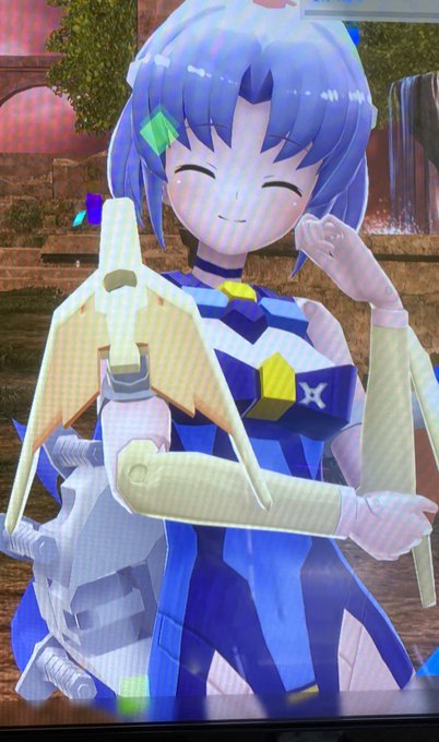 うちにも鳥います🦅🕊 