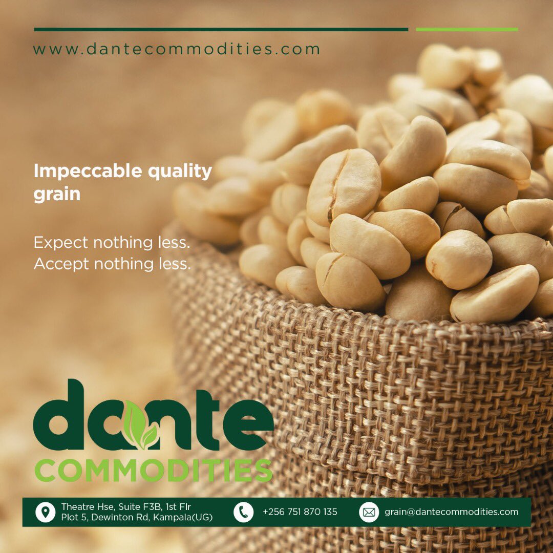 DCommoditiesUG's tweet photo. Our grain is of impeccable quality‼️
Get your orders in! Where you want is where we deliver; to your doorstep!
Call us on: +256-751 870 135
🌐 https://t.co/uhSR4DyL9b
#DanteCommodities #Coffee #CoffeeBeans #Soybean #grain #QualityGrain #Chooseday https://t.co/pXvKh9lynw