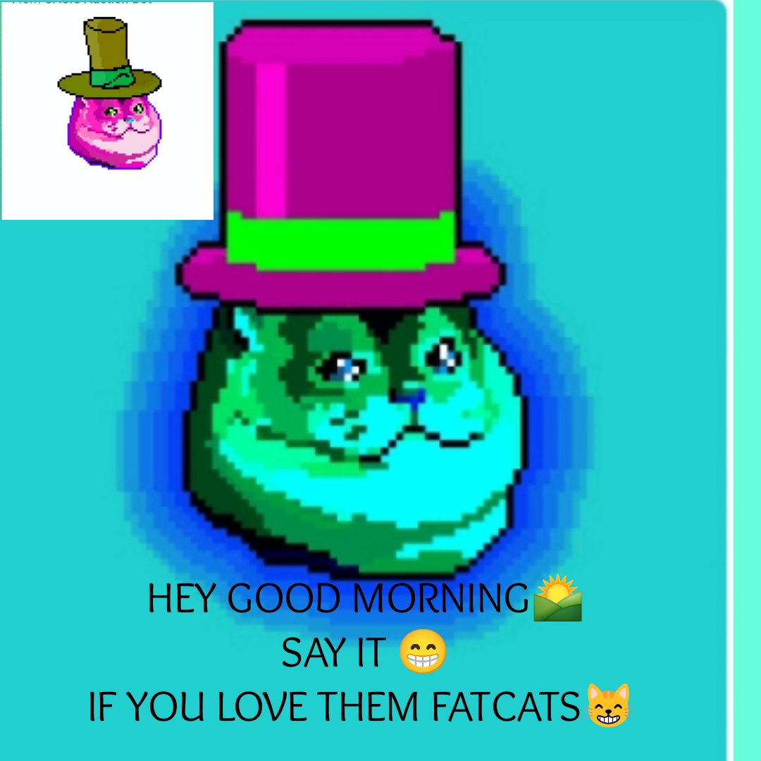 FATCAT tweet media