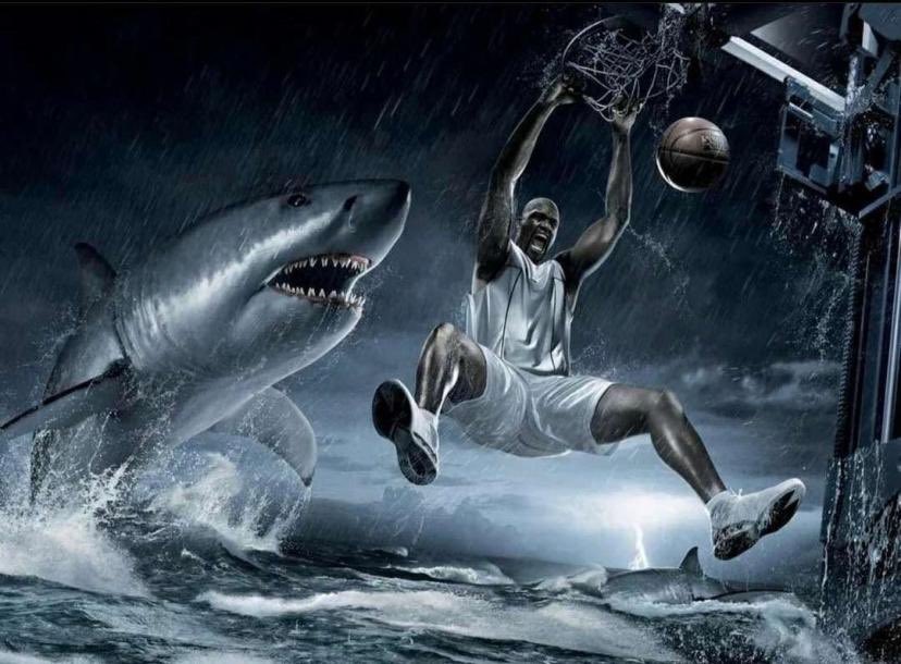 Her: You gotta be Michael Jordan dunking on a shark in the middle of the sea if you think we fuckin.

Me asf: