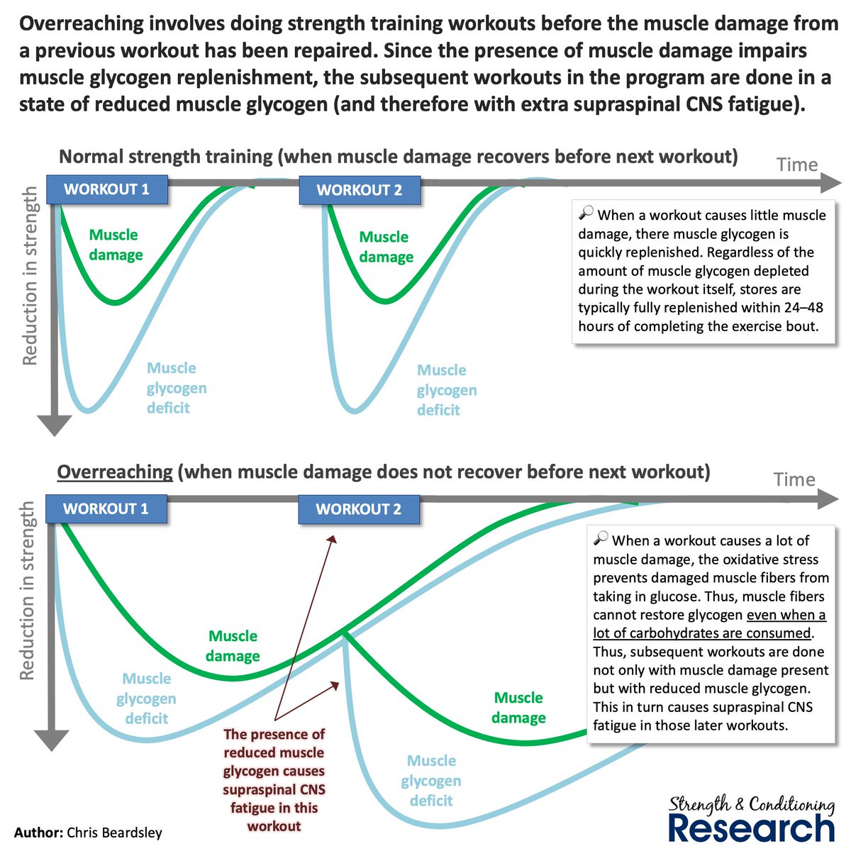 Whether a workout causes muscle damage or not affects whether muscle glycogen can easily be replenished afterwards. This means that overreaching blocks can lead to increasingly reduced levels of muscle glycogen.