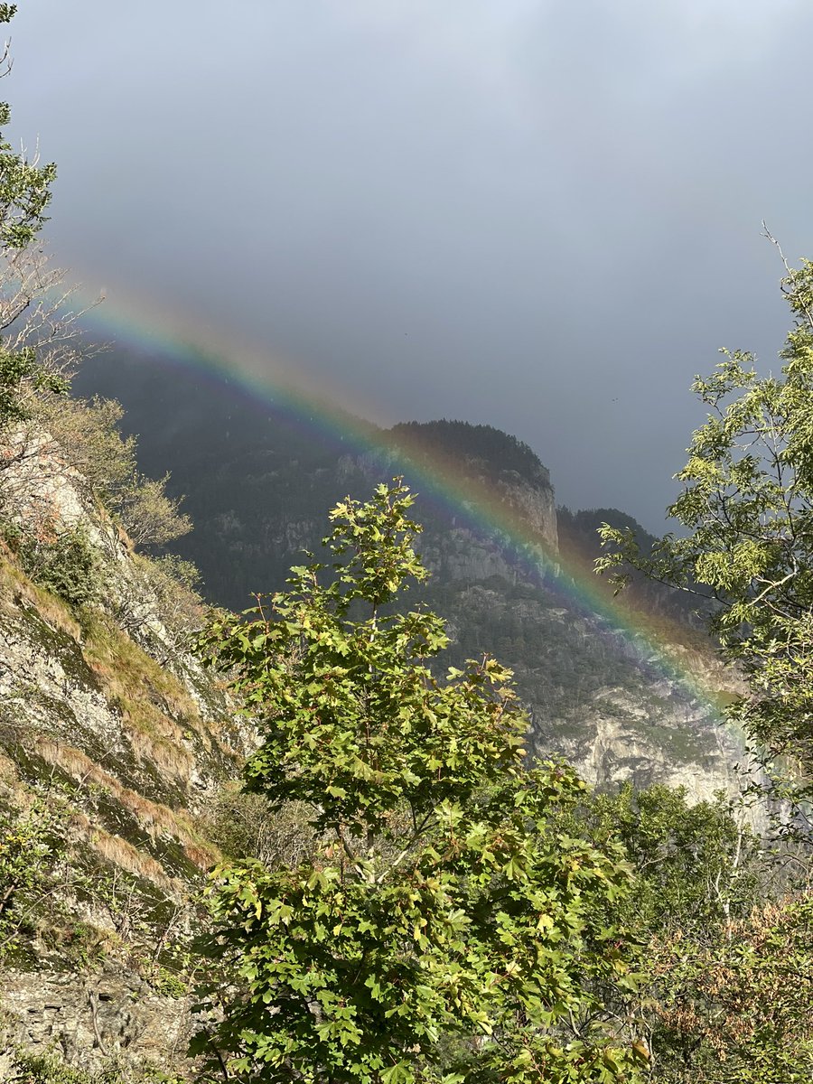 Joyeuse journée 🌈