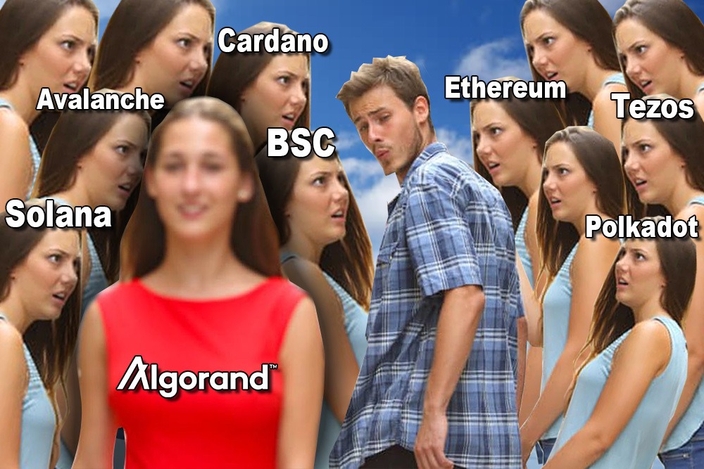 BuffedByAlgo's tweet photo. @100xAltcoinGems $ALGO is the gem! Not only does #Algorand have "Quantum Proof" via "State Proof," but it also has "Fastest Deterministic Finality" in under 4 seconds, as opposed to 12.5 seconds for #Solana.

The hedge against other tech inflation is $Algo. https://t.co/e6pTjW5RX0