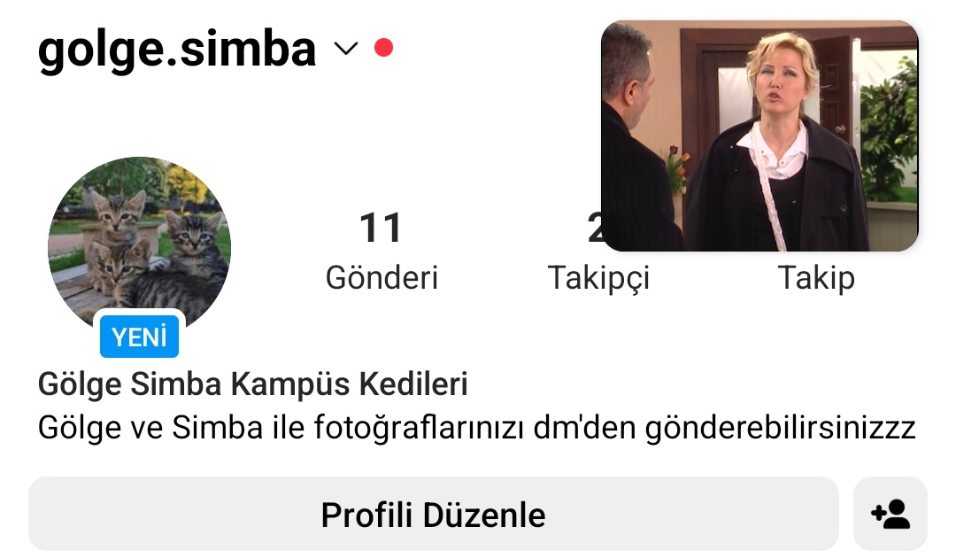 Hemen hemen hemen bebetoların instagram sayfasına bakınnn @ golge.simba