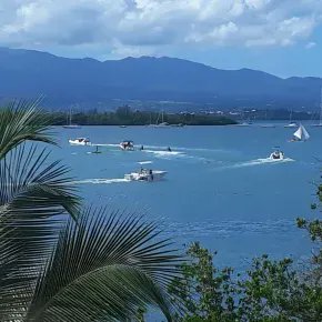 CNRS_OccitaniE's tweet image. #MinuteScience | 2020, marina de Pointe-à-Pitre. Durant le confinement, un nombre réduit de bateaux sont autorisés à naviguer. De combien de décibels a ainsi baissé le niveau sonore sous-marin ? @criobe_pf

Réponse ➡️ occitanie-est.cnrs.fr/fr/cnrsinfo/la… 

@CNRS @EPHE_PSL @upvd1