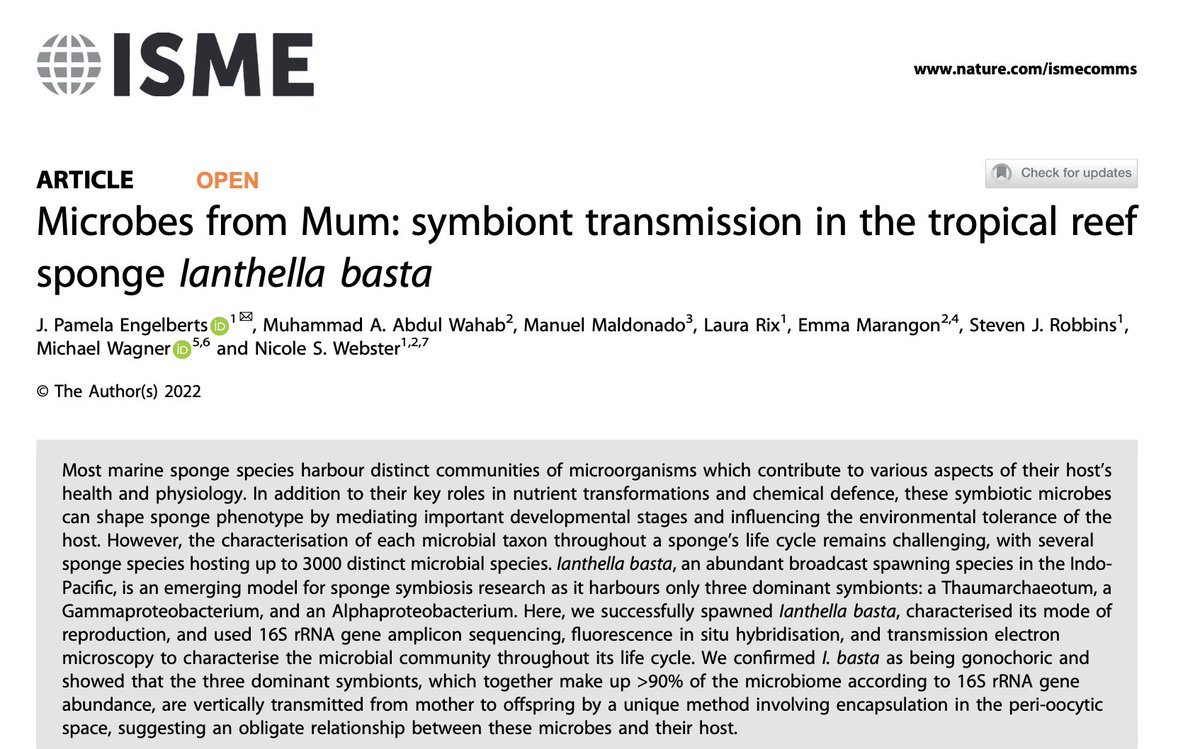 Interested in #symbiont transmission in #sponges? Here  a new mode of vertical #transmission is described in the tropical sponge Ianthella basta.

<a href="/Pam_Engelberts/">Pam Engelberts</a> <a href="/NWebster_Micro/">NWebster_Micro</a> @StevenJRobbins <a href="/lnrix/">Laura Rix</a> 

rdcu.be/cWpoM