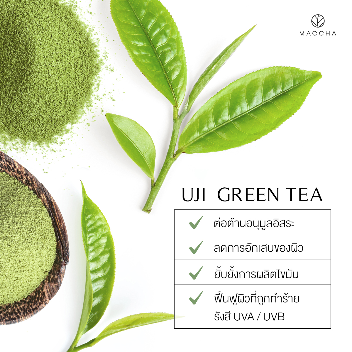 maccha_th's tweet photo. สารสกัดสุดปัง ✨ ชาเขียวอุจิจากประเทศญี่ปุ่น 🇯🇵

ชาเขียวอุจิ นำเข้าจากประเทศญี่ปุ่น ได้รับการรับรองจากมาตรฐานยุโรป ☑️

ไม่ก่อให้เกิดการแพ้ ผิวแพ้ง่ายสามารถใช้ได้ แถมยังมีประโยชน์มากมาย 🌱

💐มาร่วมเป็นทีม Glow To Go สวยโกลว์ได้ในทุกช่วงเวลาไปพร้อมกับเรา https://t.co/cL2VeYbD0d