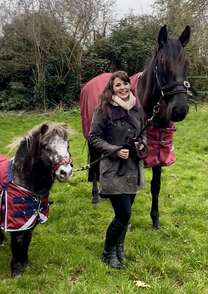 LauraJeanneArt's tweet photo. Non horsey-people would most likely be afraid of my big horse…But equestrians will know it's most definitely the little one they should be afraid of 💯% 😂
#Horses #Horse #fallabella #andalusian https://t.co/WinvuN3yPd