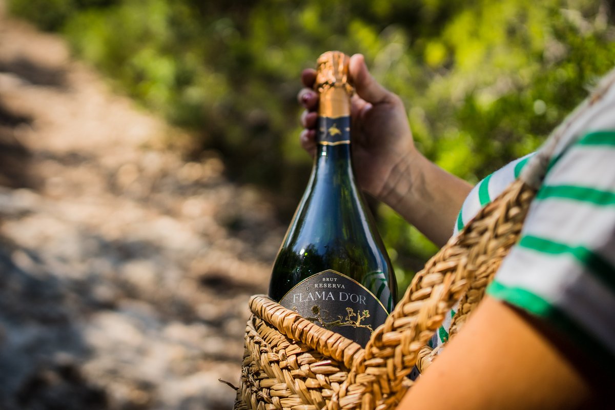 castelldor's tweet photo. La llum del final d’estiu als ulls, tots els records dels moments viscuts a la butxaca i el suggerent sabor d’una copa de cava al paladar. Què més podem demanar per acomiadar aquest estiu? 🤍
Brindem amb el reserva Flama d’Or Imperial! #castelldor
#estiu2022 #cavareserva #cava https://t.co/wcUis7NOtl