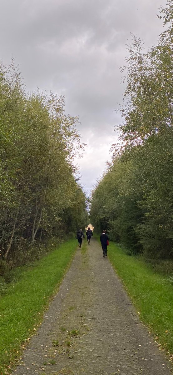 Class4CSC's tweet photo. More woodland fun @wlconnolly @LoveWestLothian #outdoors https://t.co/wmhwPyX46V