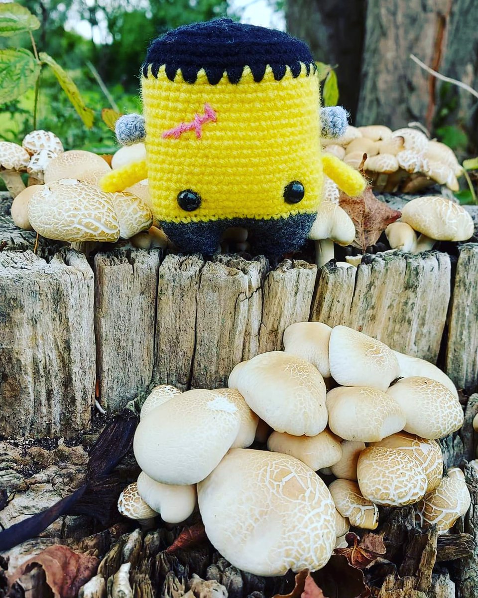 Oh, to be a Frankenstein picking mushrooms in the woods 😍

All Halloween Stock available now in my Etsy shop

#Crochet #CraftyCharlotteCrochet #Amigurumi #Halloween #Halloween2022 #HalloweenDecorations #Wholesome #Etsy #Frankenstein  #Mushrooms  #Autumn #Fall #ForSale #Spooky