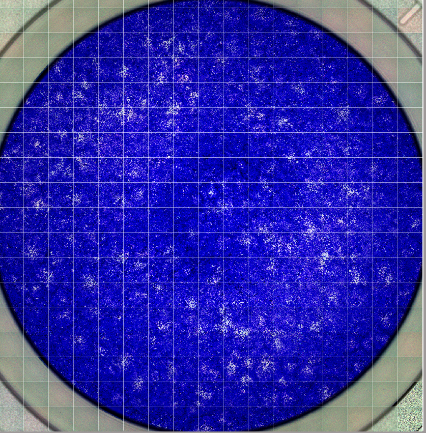 NeoVirTech tweet media