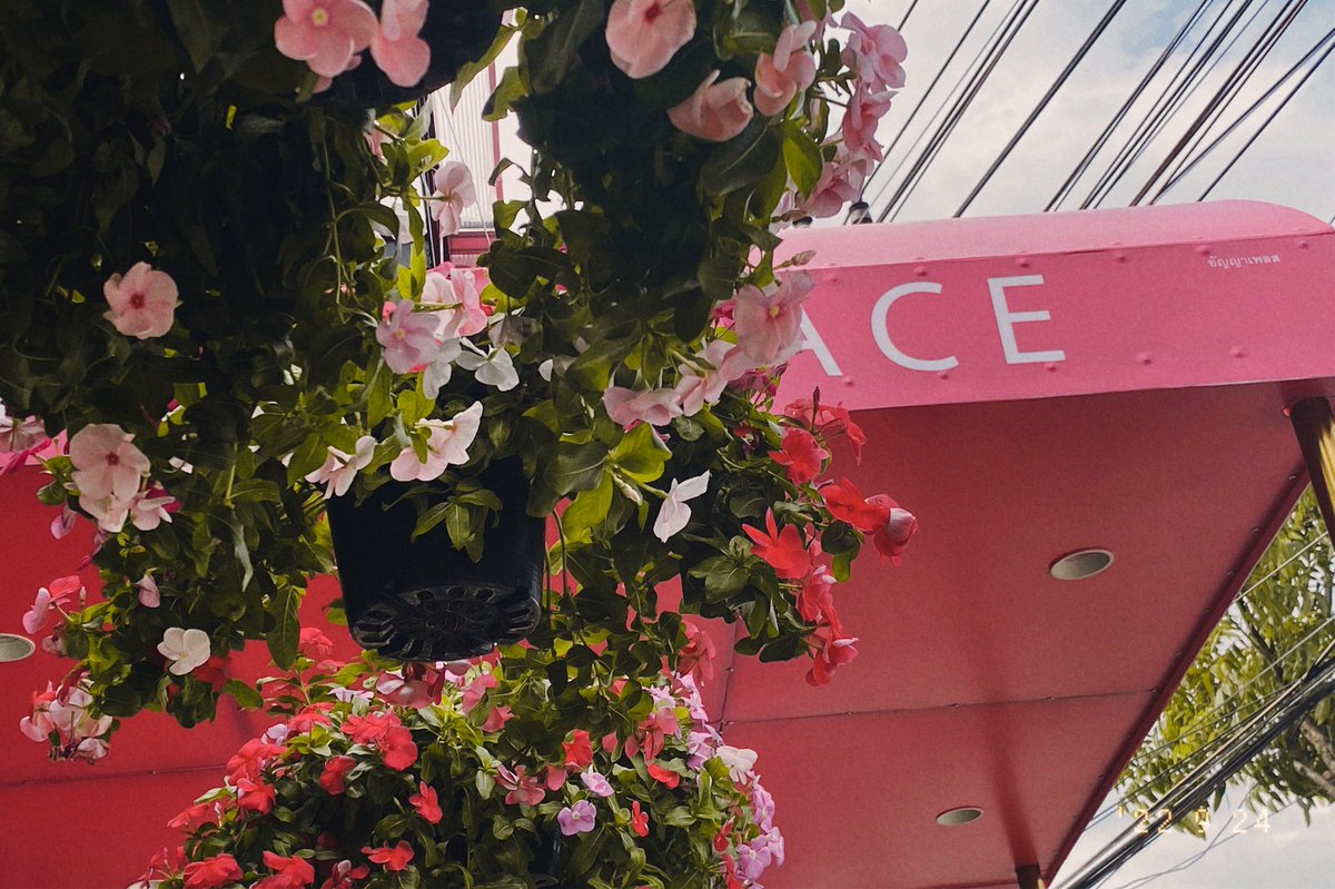 summerfr0mchm's tweet photo. ㅎㅎ🍕🌺🍮 https://t.co/6sP8mIc0Wa