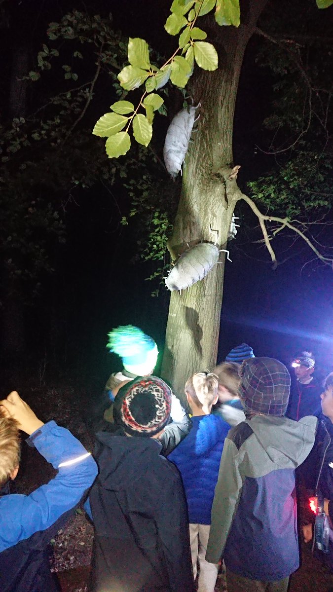 Longniddry Scouts tweet media