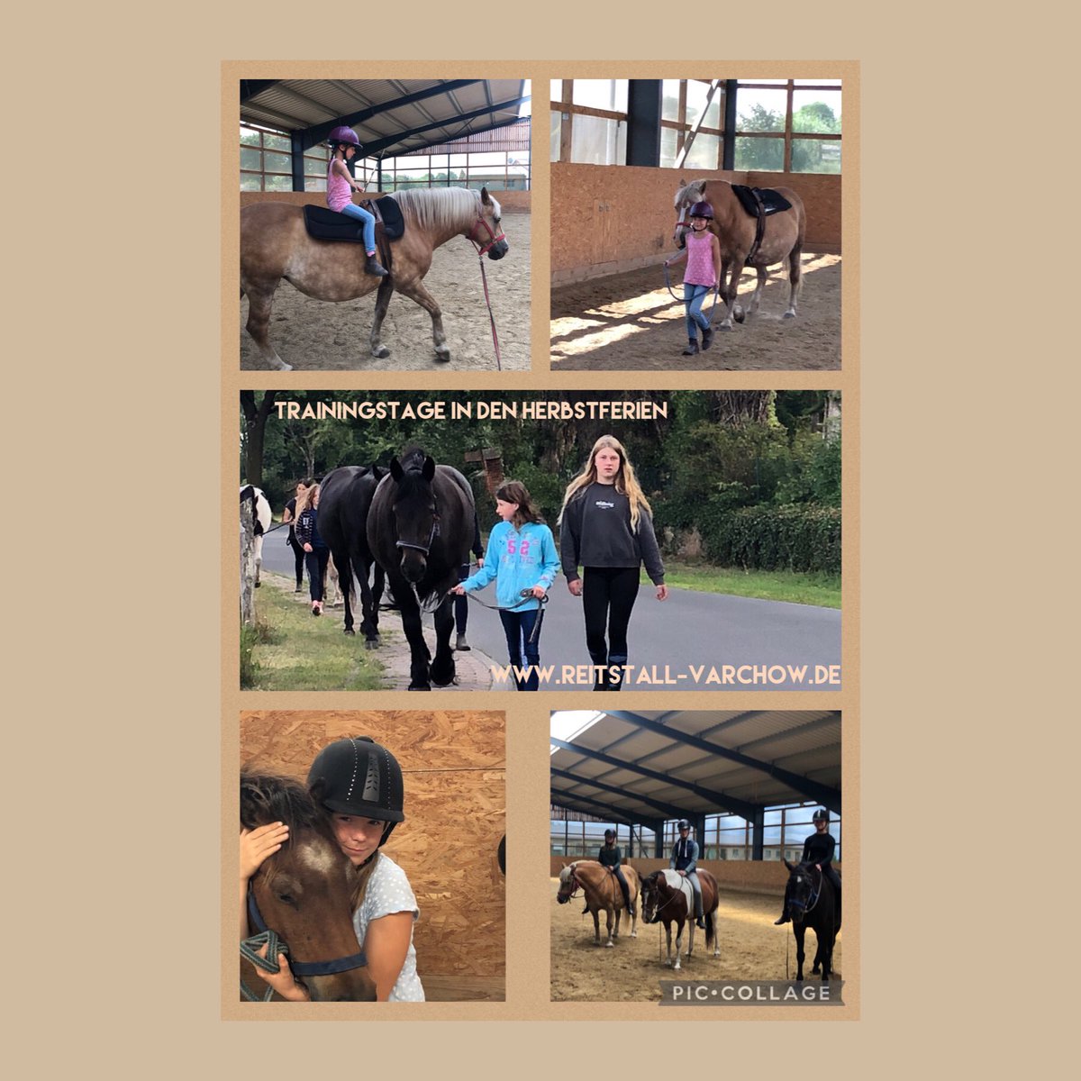 RVarchow's tweet photo. In den Herbstferien gibt es Trainingstage beim Reitstall Varchow. 
Von Montag bis Mittwoch für die kleinen Kinder. 
Von Donnerstag bis Samstag für Jugendliche und Erwachsene. 

Infos und Anmeldung unter 
https://t.co/jjHSwn16ar

#herbst #ferien #pferde #reiten #lernen #kinder https://t.co/CMYiKRRyVG