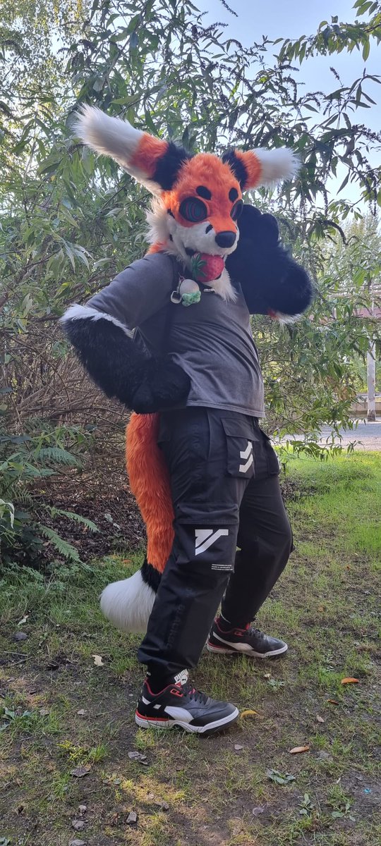 GhostFox (@ghost_the_fox_) / Posts / X