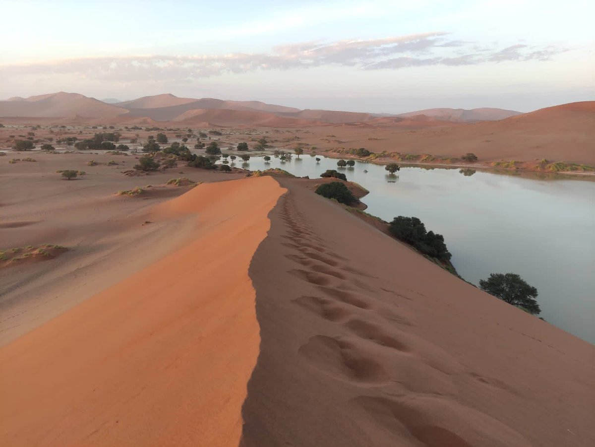 CharlesMooreUK's tweet photo. It's #WorldTourismDay2022. Namibia has everything - stunning scenery (coast, deserts, mountains and savannah), excellent wildlife, great climate, warm people and fascinating culture. Unless you like skiing, what more could you want?
🇬🇧🇳🇦 https://t.co/KFMTpwCE9N