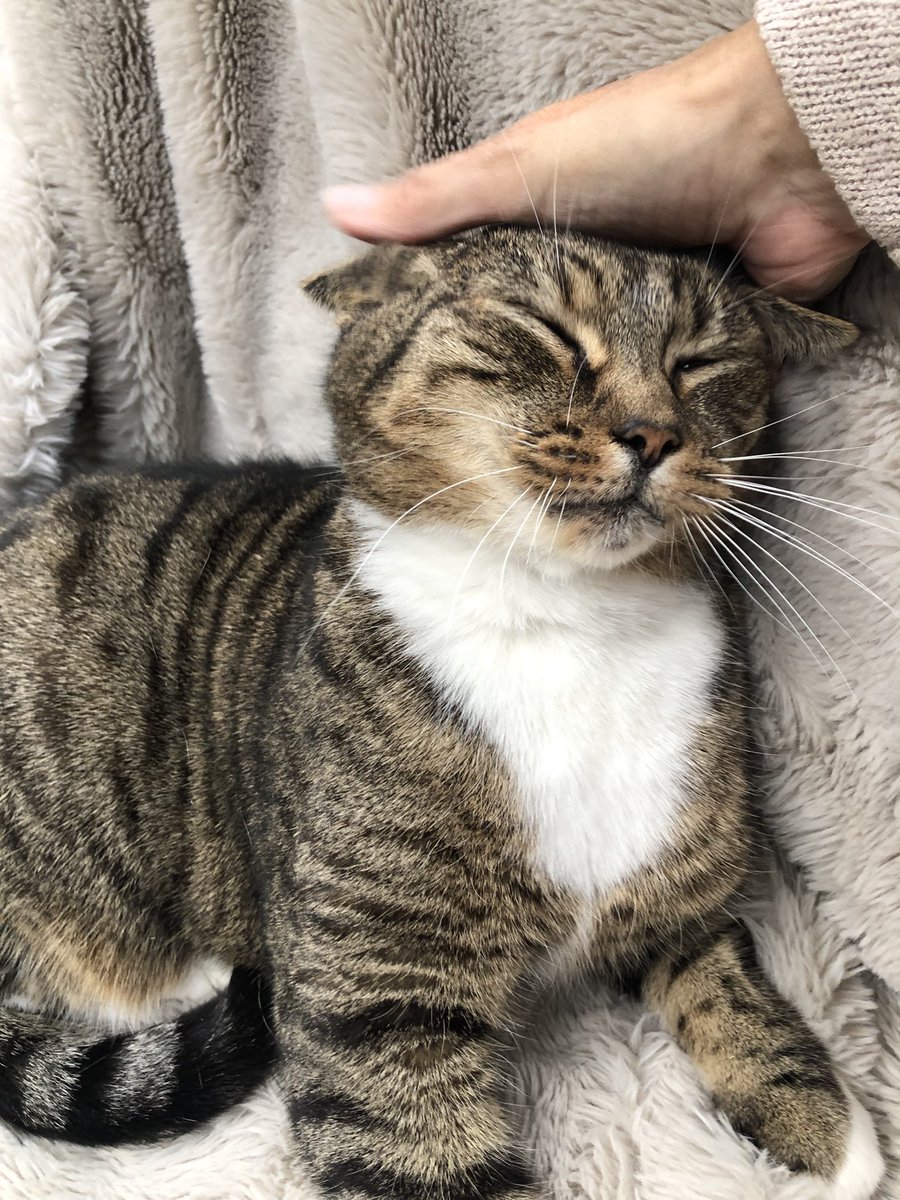 That’s the spot Mummy