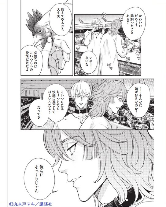 鶏小屋のtwitterイラスト検索結果