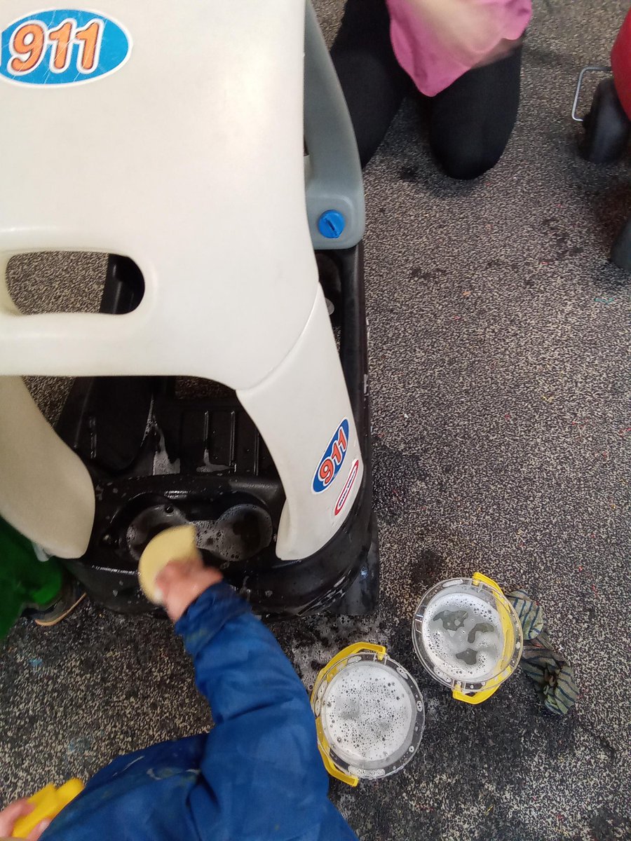 FreshlingsUCSP's tweet photo. Bumblebees are enjoying their time visiting the car wash! https://t.co/00kv2RzoCl