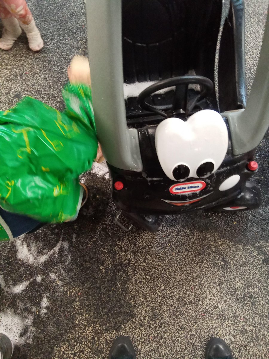 FreshlingsUCSP's tweet photo. Bumblebees are enjoying their time visiting the car wash! https://t.co/00kv2RzoCl