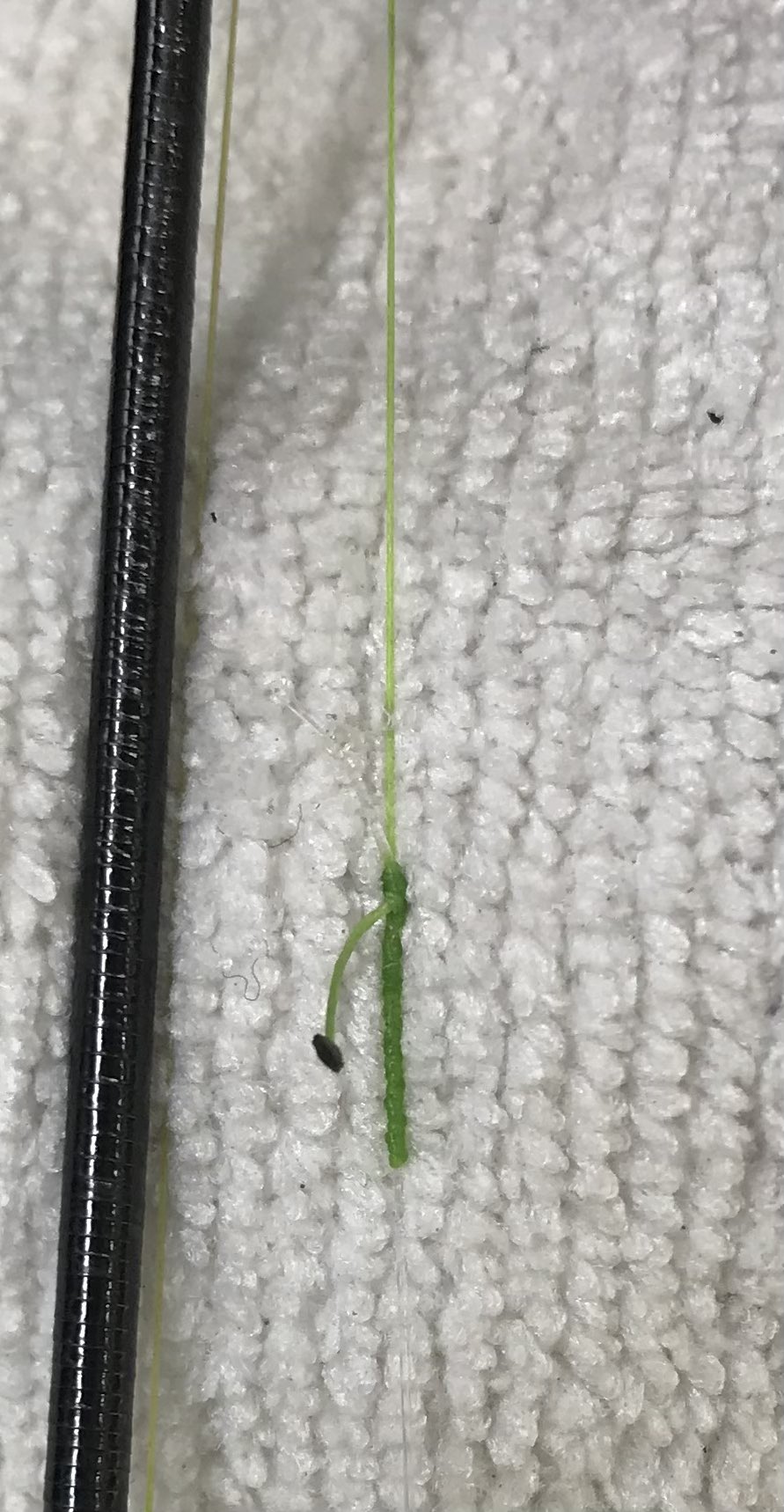 Fgノット Twitter Search Twitter