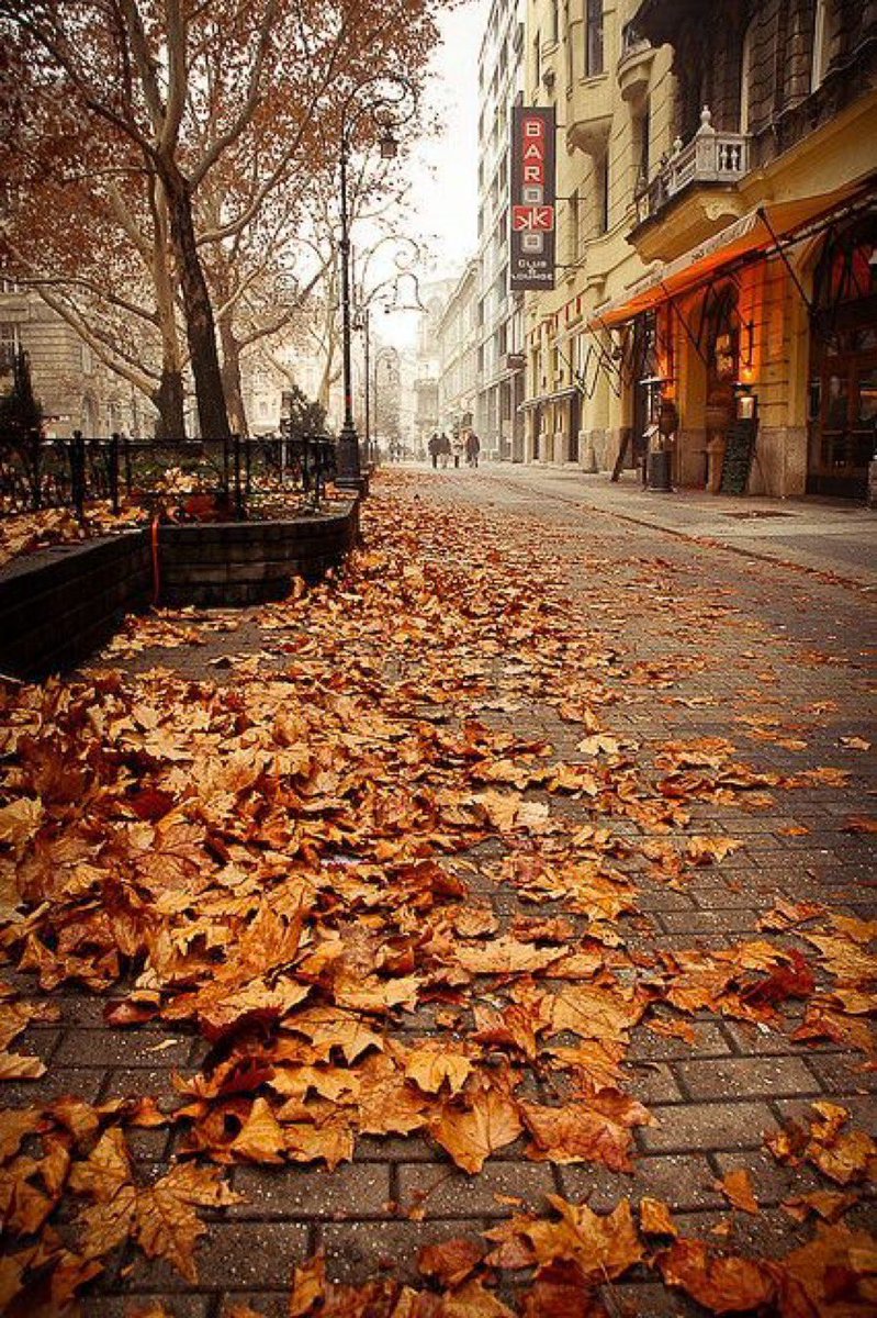 Autumnal showers 
A steaming mug of milk tea 
Breakfast at the pub
Love it when it’s cold outside 
There’s warmth and closeness inside 
#tanka #poetrycommunity #autumn #showers #AutumnShowcase2022