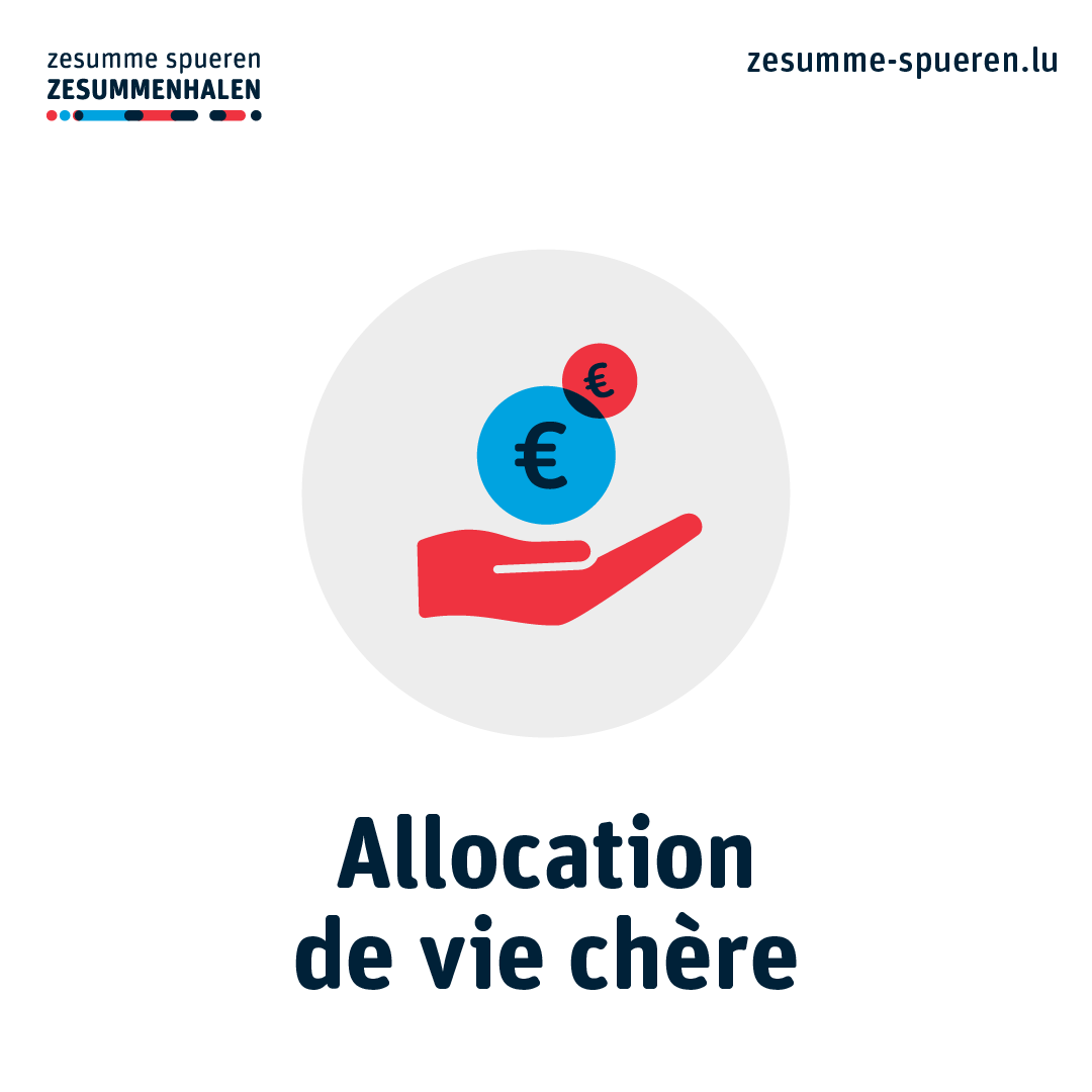LuxembourgMea's tweet photo. Um Site https://t.co/voT6FDtRL5 fannt Dir eng Rei Informatiounen zu de finanziellen Hëllefen, wéi zum Beispill d’Allocation de vie chère, d‘Subvention de loyer an de Klimabonus.
#zesummespueren #zesummenhalen #echmaachemat #energiespueren https://t.co/gDFm55jrVJ