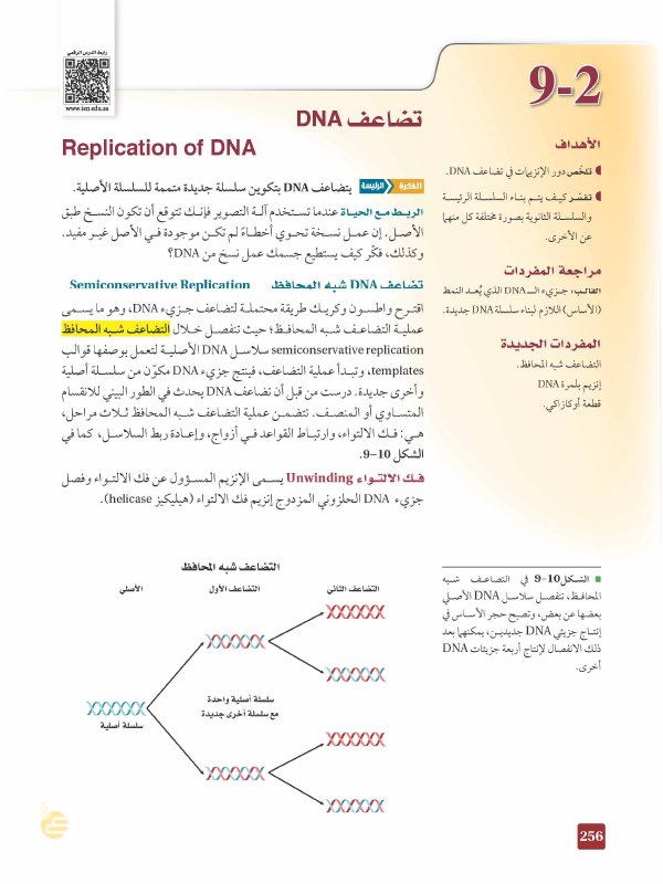 Biology1802's tweet photo. #ملتقى_علوم_الاحياء
قصة مختصرة حول DNA و ال RNA و protein اطلع عليها و سوف تغنيك عن الكثير من الكتب و المراجع 
#gene #genetics #genome https://t.co/Z0K5IDk3tr