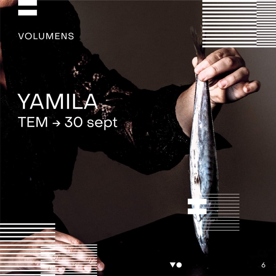 VolumensFest's tweet photo. ◾ #Yamila en #VO6 .
◾ Viernes 30 de septiembre, a las 21.15h, en el @TeatreElMusical
◾ Entradas y abonos 👉 https://t.co/1G2JPfNYEk

#musica #vanguardia #experimentacion #NewMedia #digitalarts #installation #newmediaart #digitalart https://t.co/E0MR2AsZ7X