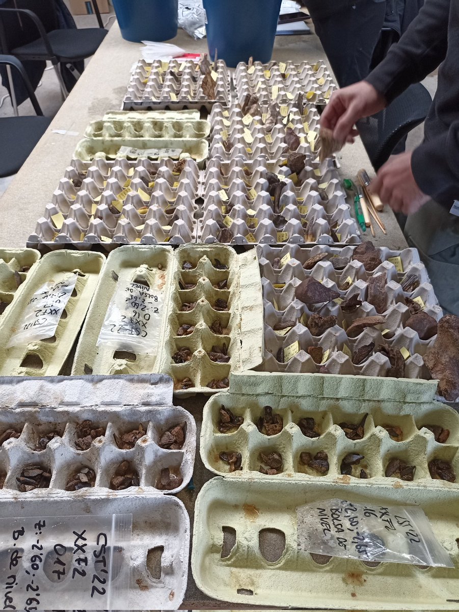 El Castillo cave Project tweet media