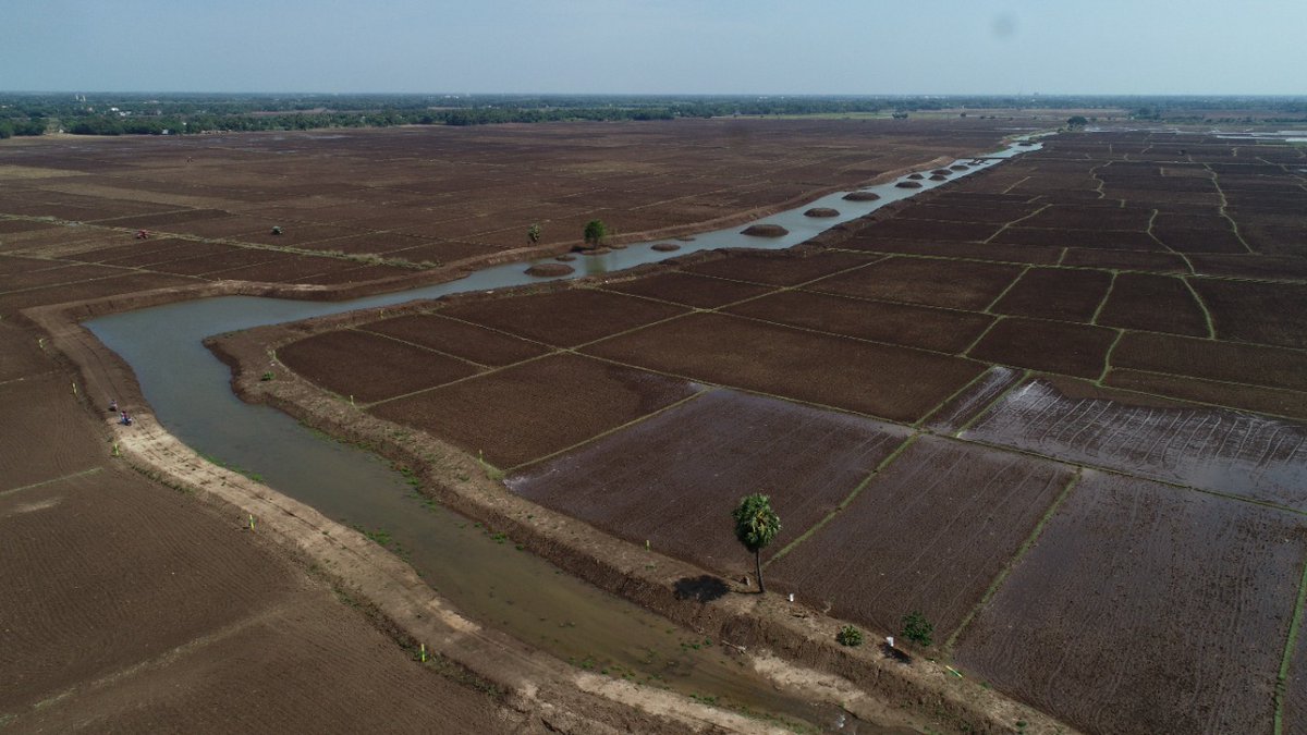 A lake lost for nearly 50yrs revived by <a href="/EFIVolunteer/">Environmentalist Foundation of India</a>. Thank u <a href="/pavankumar_gg/">Pavankumar G Giriyappanavar</a> IAS n D #CuddaloreDistAdmin for D support in this ambitious effort.

The #Arulmozhithevan lake revived and ready to store precious water from the #NEMonsoons of 2022. 

5 decades wait comes to an end.
