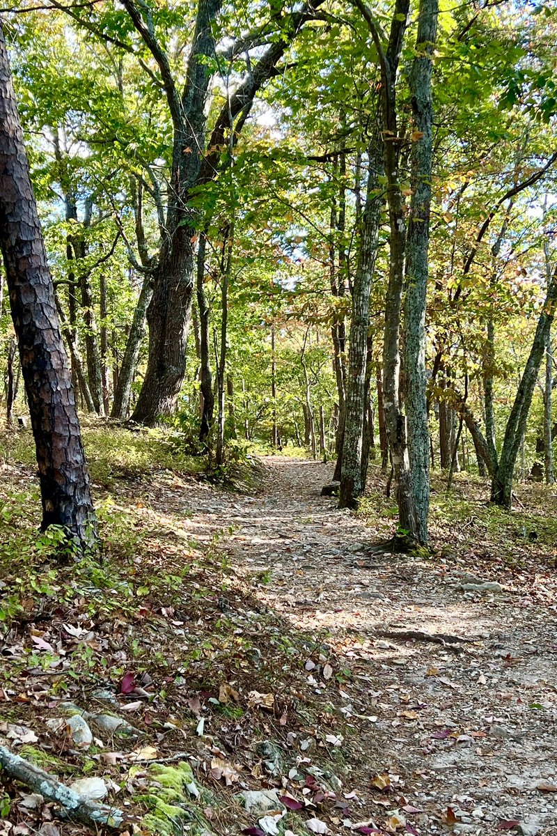 HikerMck's tweet photo. At Occoneechee Mountain. #gohike #hiking #trailshotTuesday https://t.co/0CUKag569q