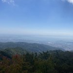 ツイートに含まれる画像