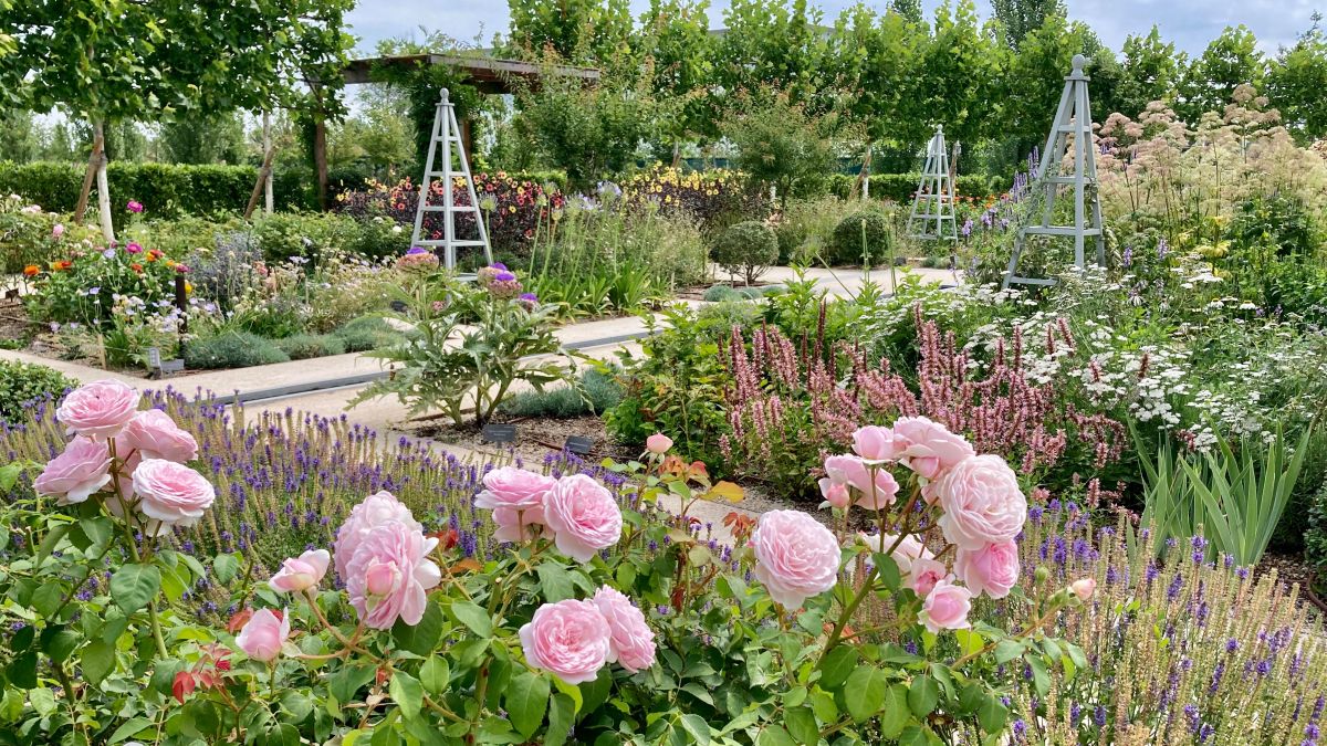 homesandgardens's tweet photo. The Society of Garden Designers Awards 2022 – the winning gardens https://t.co/9K43UOmGrD https://t.co/QXM81Gsi9w