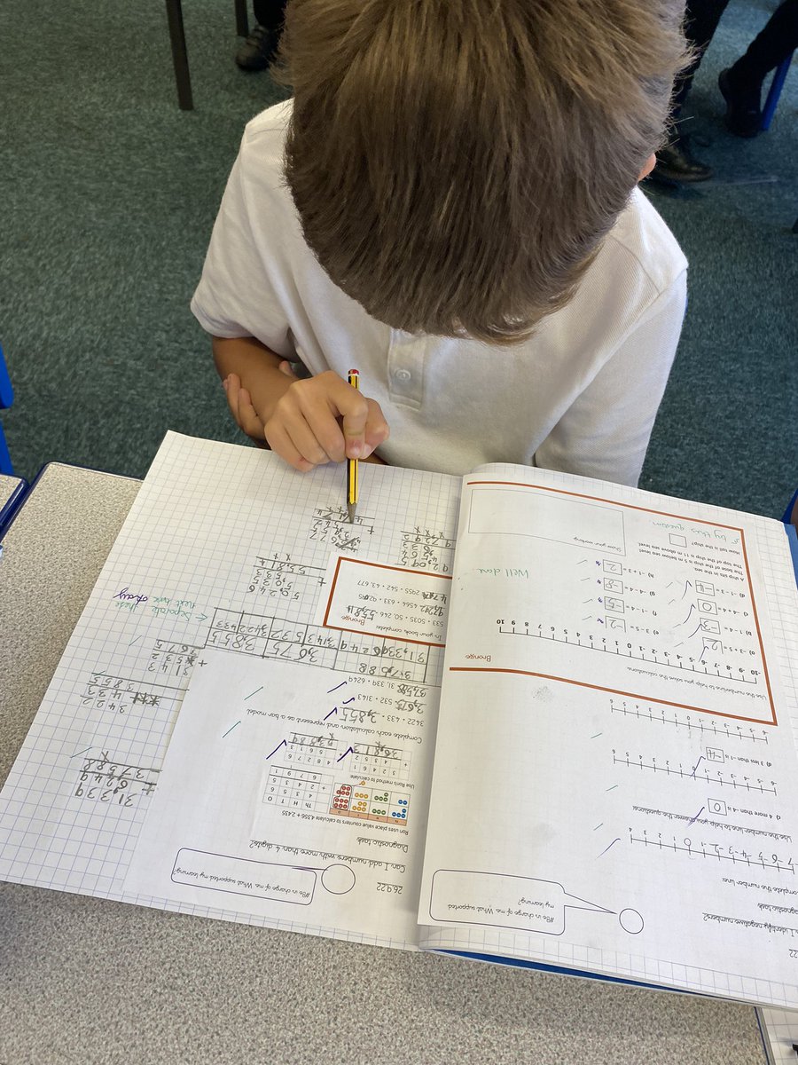 Y6LaceyField tweet media