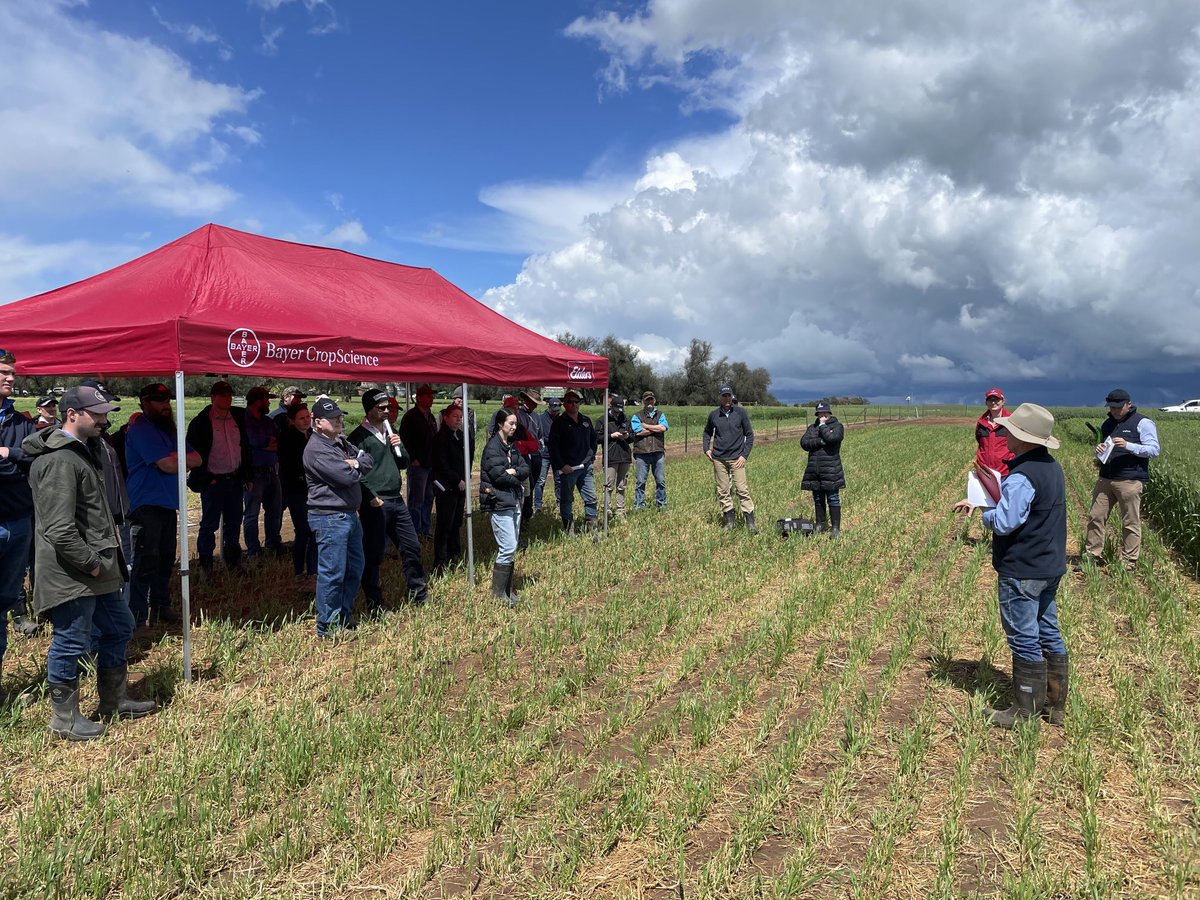 John Kirkegaard tweet media