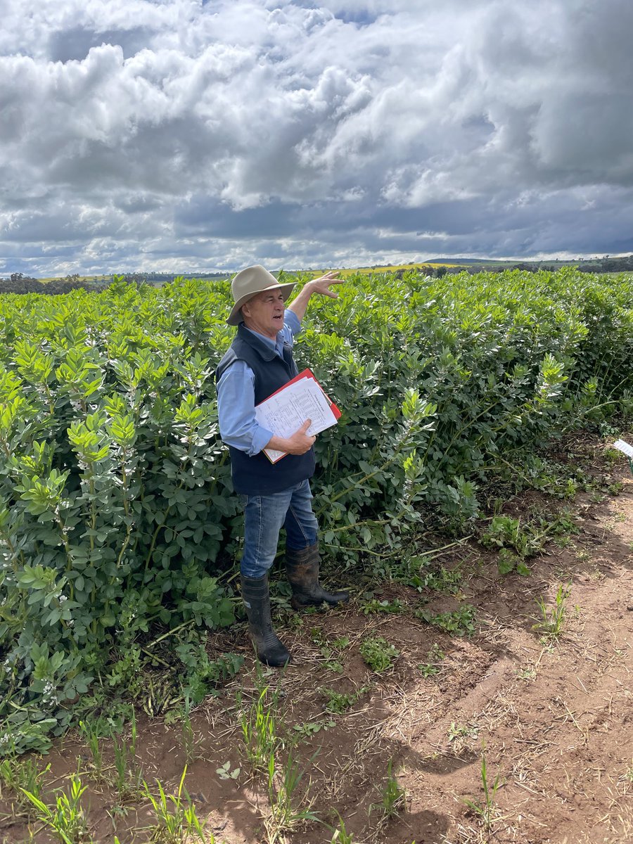 John Kirkegaard tweet media