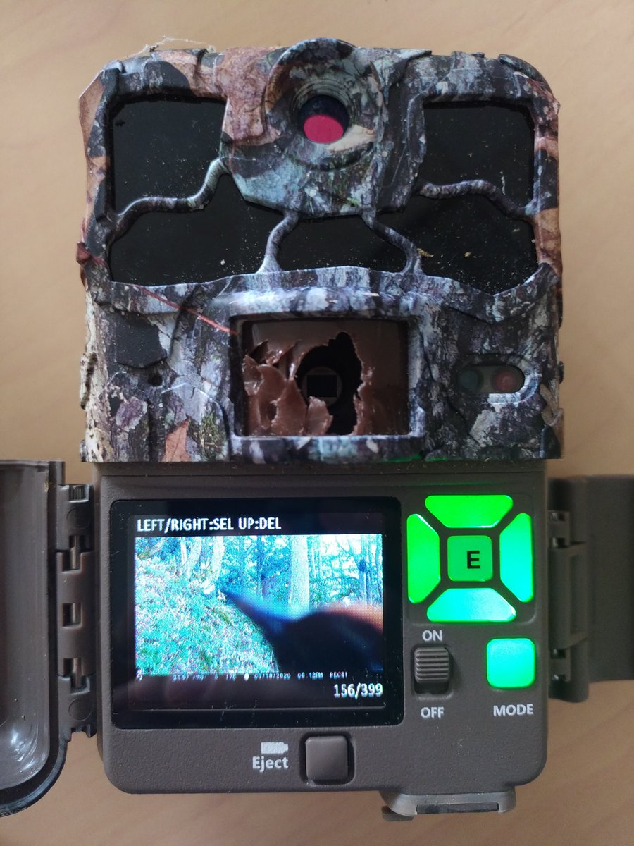 Ces dégradations sur nos pièges photos sont inadmissibles! Nous menons l'enquête pour retrouver le coupable!!!