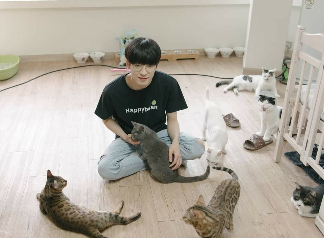 miwon17_'s tweet photo. Wonwoo is no.1 in "Best Cat Idol" award by idol champ.
@pledis_17 https://t.co/ONfOAncAga