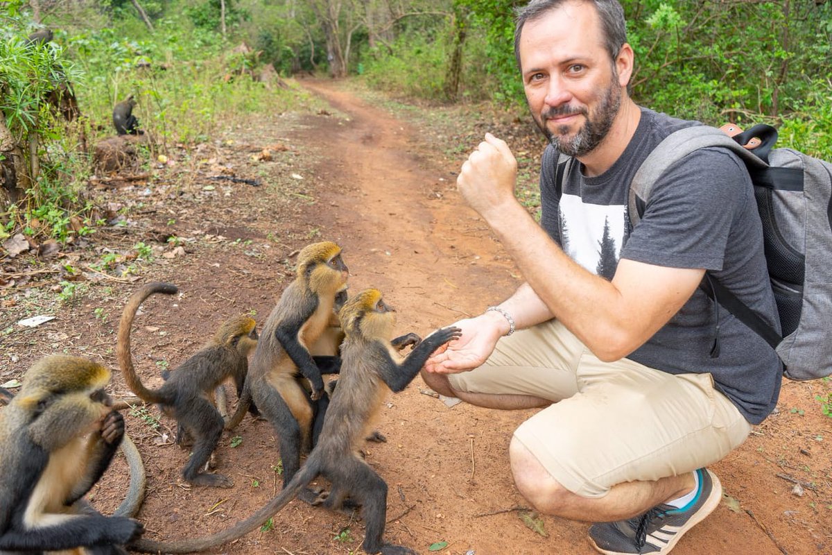 Ch_andoh's tweet photo. In Ghana are natural sanctuaries you need to explore. That of the butterfly sanctuary of Bobiri, the monkey sanctuaries of Tafi-Atome and Boabeng Fiema, and the hippo natural sanctuary of Wechiau are beautiful examples. 
#VisitGhana2022 https://t.co/EAfvO93i8C