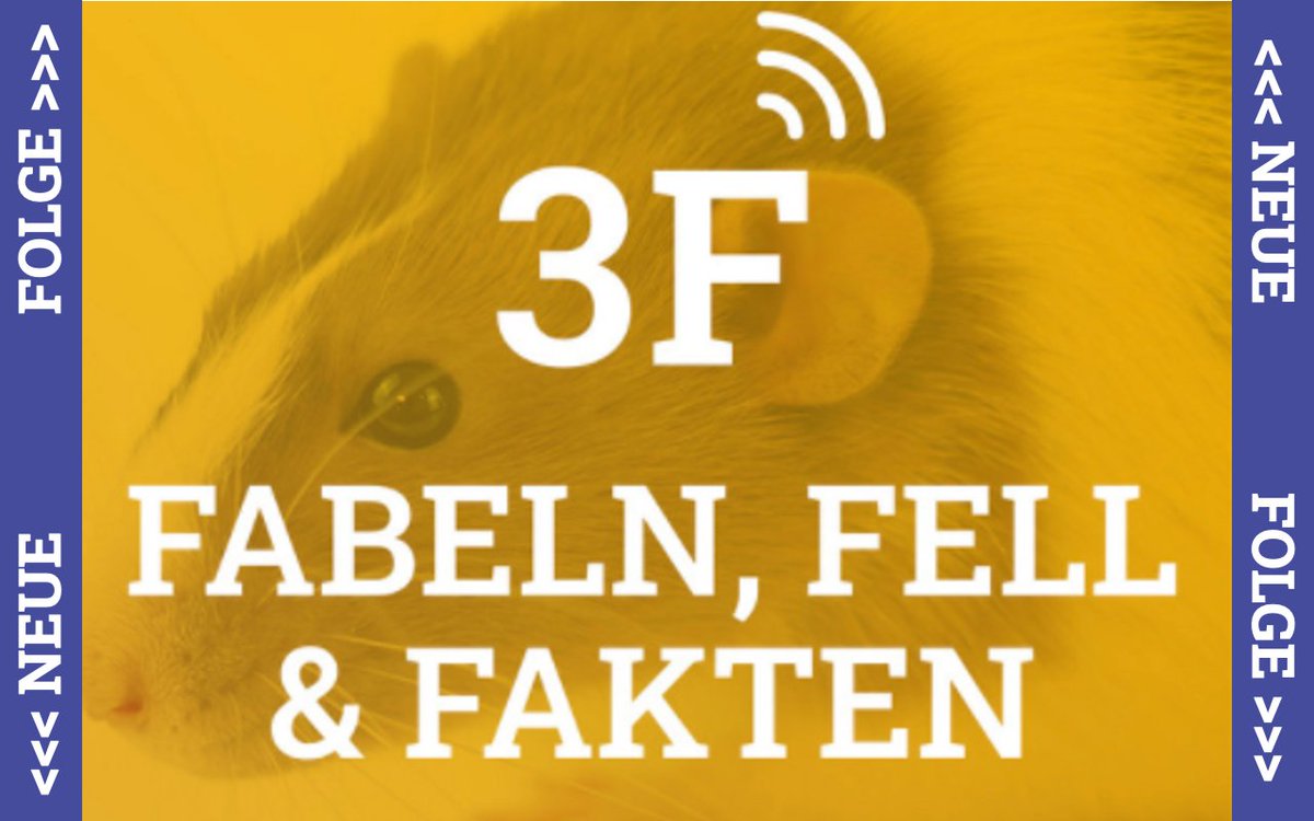 TVVde's tweet photo. Tag 2 unserer #Themenwoche!
Heute Startet die zweite Staffel von #FabelnFellundFakten - dem Podcast über #Tierversuche! In der ersten Folge öffnen @JohBeckers und @NeuRoman_cer den Werkzeugkasten der Forschung - geht's auch ohne Tierversuche? https://t.co/lrJVqTIof6
#Methodenmix https://t.co/Xwx6NxZt4K
