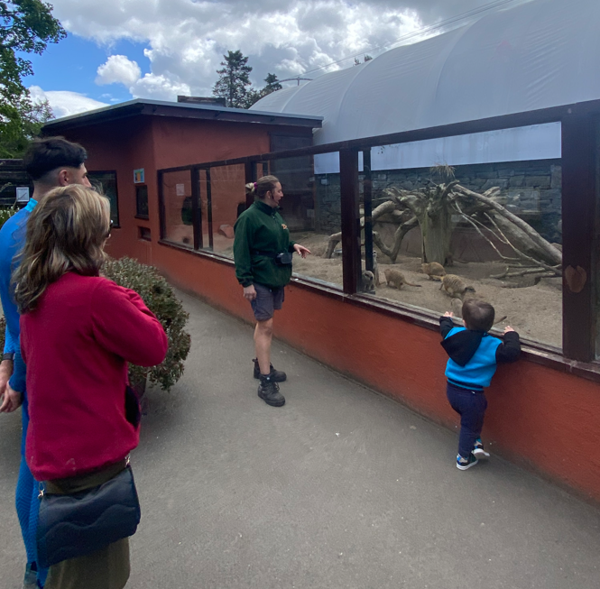 WelshMountainZo's tweet photo. For 2022 we have ✨NEW✨ species talks everyday at 11.30am and 2.30pm!

👉 These change daily - information about these can be found on the boards outside our Zoovenir Gift Shop.

#DailySpeciesTalks #KeeperTalks #SupportingConservation #WelshMountainZoo #NationalZooOfWales https://t.co/PAHVf7a8m0