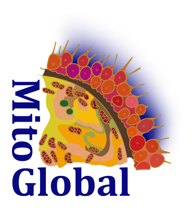 Oroboros Instruments tweet media